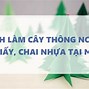 Cách Làm Cây Thông Noel Bằng Giấy Bìa Cứng