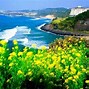 Du Lịch Jeju Tự Túc Không Cần Visa 2023