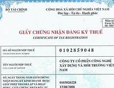 Giấy Khai Thuế Tiếng Anh Là Gì