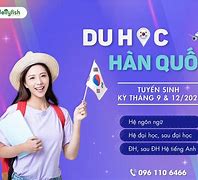 Trung Tâm Du Học Vinamex Hàn Quốc Việt Nam Tuyển Dụng